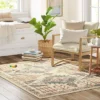 Albany Double Diamond Center Medallion Persian Style Rug - Threshold™